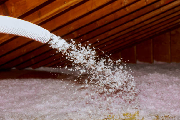 Best Insulation Installation Services in Cedville, AR