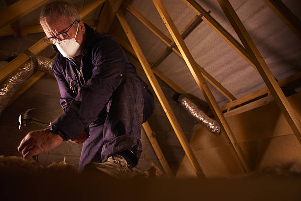 Best Commercial Insulation in Cedville, AR